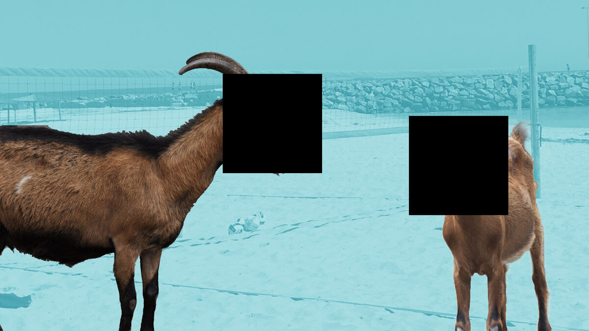The GOATest image number null